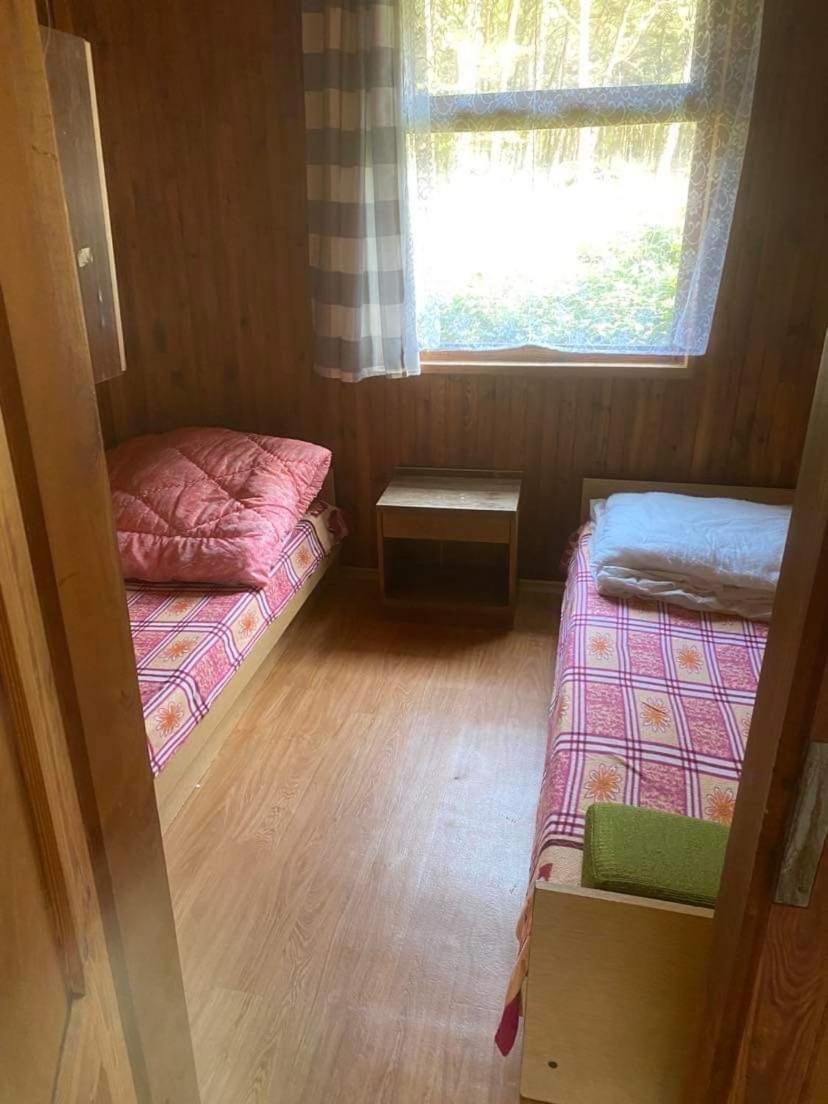 Domki Szumi Las Мжежино Екстер'єр фото